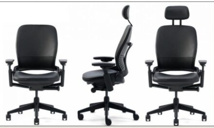 Steelcase LEAP Ergonomic Chair Features & Benefits